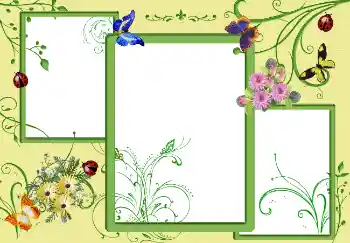 Efecto de fotos de la categoría Verano № 5335