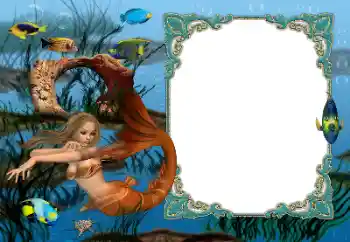 Efecto de fotos de la categoría Verano № 55418