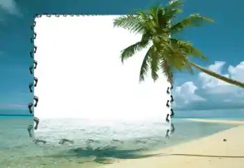 Efecto de fotos de la categoría Verano № 57676