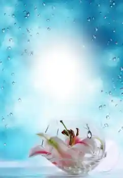 Efecto de fotos de la categoría Verano № 64487