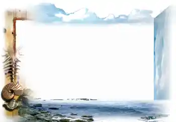 Efecto de fotos de la categoría Verano № 65569