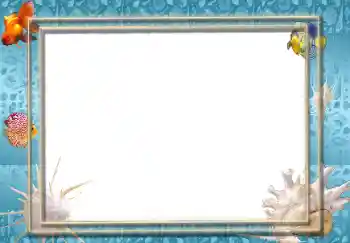 Efecto de fotos de la categoría Verano № 67232