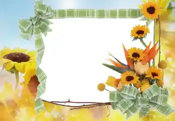 Efecto de fotos de la categoría Verano № 68445