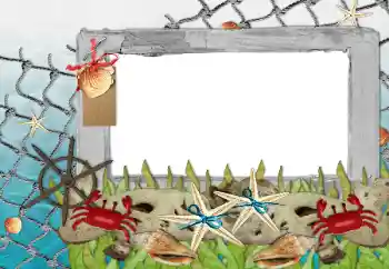 Efecto de fotos de la categoría Verano № 85339