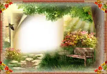 Efecto de fotos de la categoría Verano № 85480