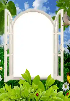 Efecto de fotos de la categoría Verano № 85496