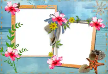 Efecto de fotos de la categoría Verano № 87878