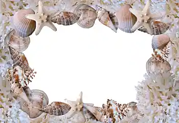 Efecto de fotos de la categoría Verano № 88088