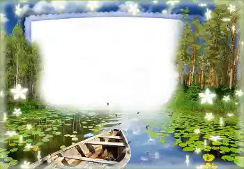 Efecto de fotos de la categoría Verano № 89386