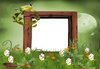 Efecto de fotos de la categoría Verano № 9650