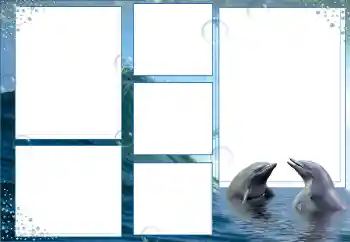 Efecto de fotos de la categoría Verano № 9676