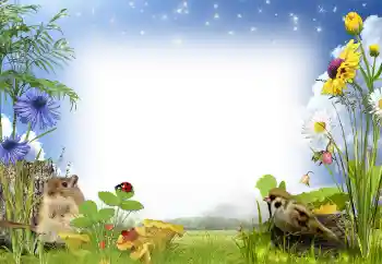 Efecto de fotos de la categoría Verano № 97486