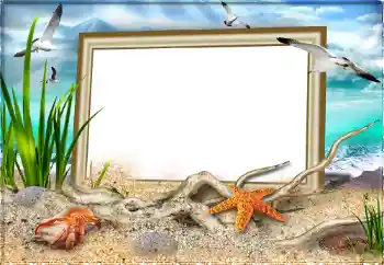 Efecto de fotos de la categoría Verano № 97613