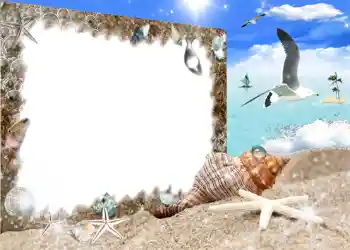 Efecto de fotos de la categoría Verano № 987