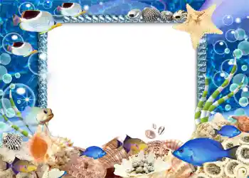 Efecto de fotos de la categoría Verano № 995