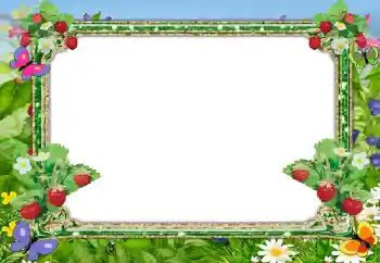 Efecto de fotos de la categoría Verano № 99911