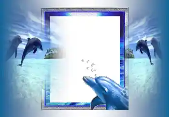 Efecto de fotos de la categoría Verano № 99951