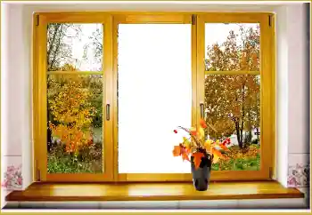 Efecto de fotos de la categoría Otoño № 160523