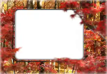 Efecto de fotos de la categoría Otoño № 160546