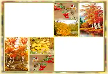 Efecto de fotos de la categoría Otoño № 160654