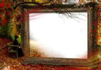 Efecto de fotos de la categoría Otoño № 160664
