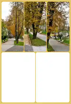 Efecto de fotos de la categoría Otoño № 160725