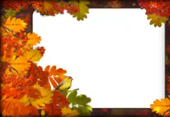 Efecto de fotos de la categoría Otoño № 160787