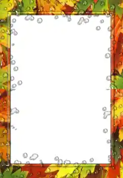 Efecto de fotos de la categoría Otoño № 160936