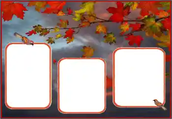 Efecto de fotos de la categoría Otoño № 162013