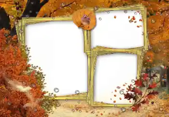 Efecto de fotos de la categoría Otoño № 162180