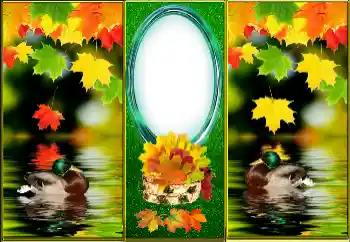 Efecto de fotos de la categoría Otoño № 163512