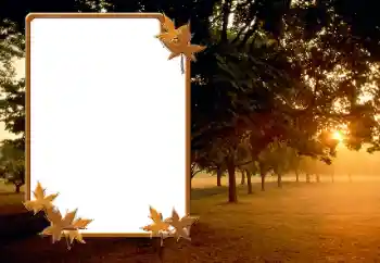 Efecto de fotos de la categoría Otoño № 166423