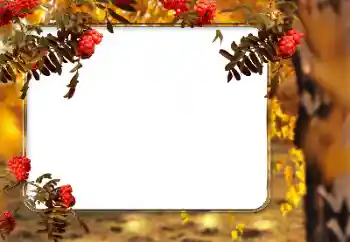 Efecto de fotos de la categoría Otoño № 166546
