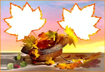 Efecto de fotos de la categoría Otoño № 170391