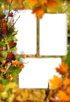 Efecto de fotos de la categoría Otoño № 176614