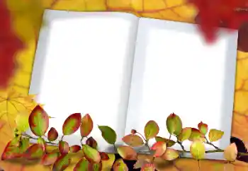 Efecto de fotos de la categoría Otoño № 182190
