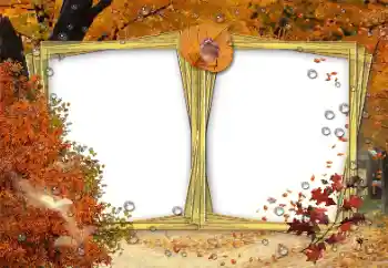 Efecto de fotos de la categoría Otoño № 191691