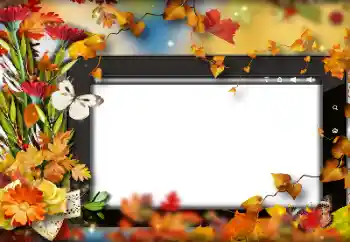 Efecto de fotos de la categoría Otoño № 191705