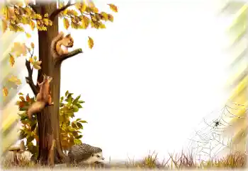 Efecto de fotos de la categoría Otoño № 196642