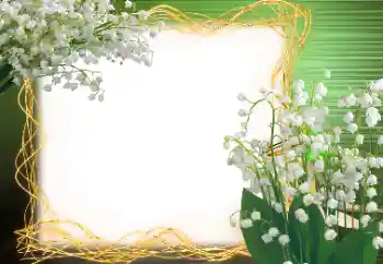 Efecto de fotos de la categoría Primavera № 113120 Efecto de fotos de la categoría Primavera № 113120