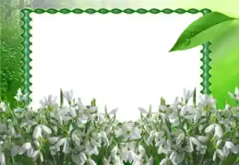 Efecto de fotos de la categoría Primavera № 11868