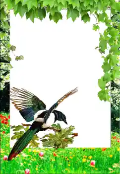 Efecto de fotos de la categoría Primavera № 147761 Efecto de fotos de la categoría Primavera № 147761