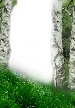 Efecto de fotos de la categoría Primavera № 149305