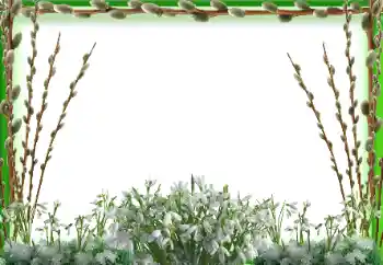 Efecto de fotos de la categoría Primavera № 197647