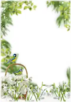 Efecto de fotos de la categoría Primavera № 205355