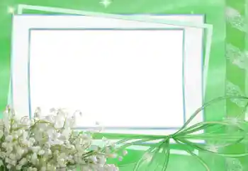 Efecto de fotos de la categoría Primavera № 33834