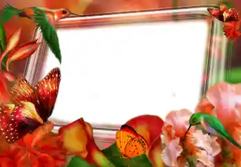 Efecto de fotos de la categoría Primavera № 4610