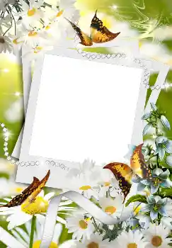 Efecto de fotos de la categoría Primavera № 4611