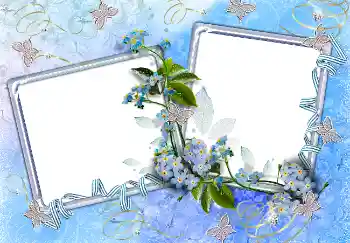 Efecto de fotos de la categoría Primavera № 4612