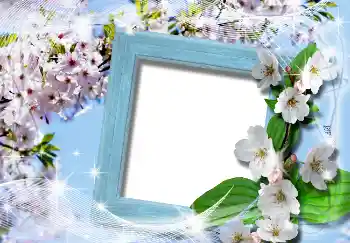 Efecto de fotos de la categoría Primavera № 4619